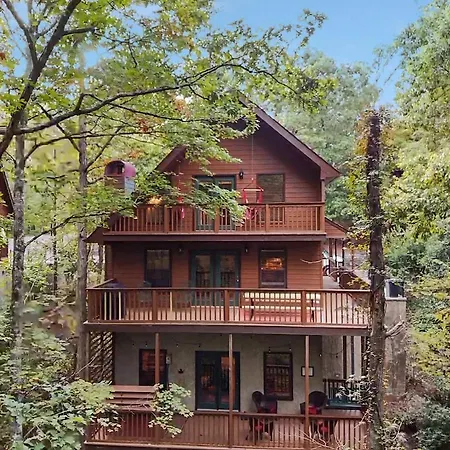 Forest Hollow